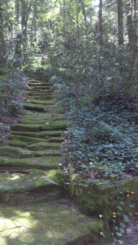 moss + stone stairs/clayton, ga/august 2012