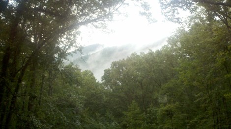 smokey/clayton, ga/august 2012