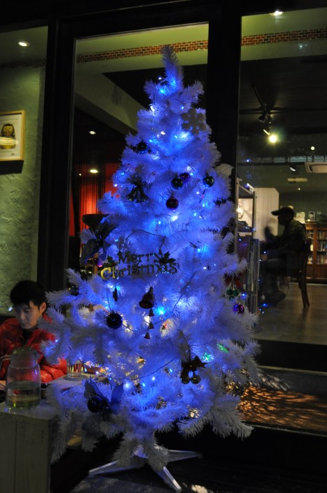 tree at my fave cafe, yaboo/the neighb, taipei/dec 2012