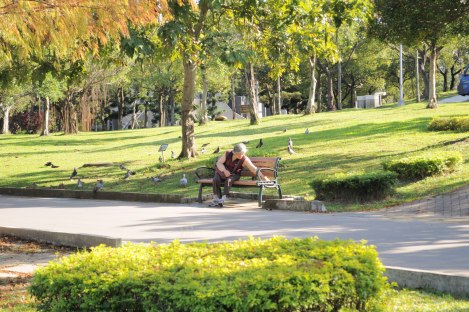 feed the birds, $1NTD a bag/da'an park, taipei/dec 2012