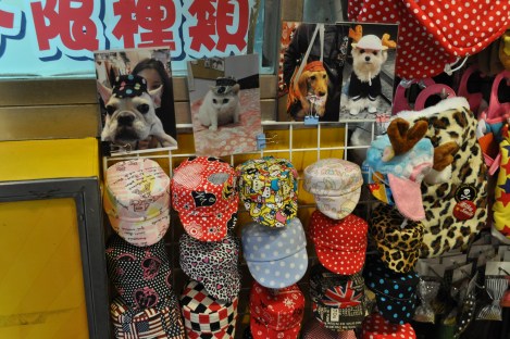 a hat for your cat!/shida night market, taipei/dec 2012