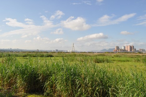 first bit of bike trail landscape/taipei circle trail/jan 2013