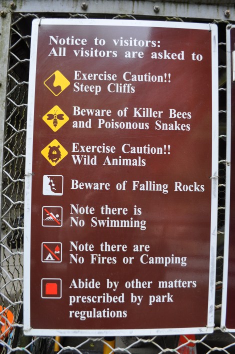 luckily we didn't run into any killer bees/hualien, taiwan/jan 2013
