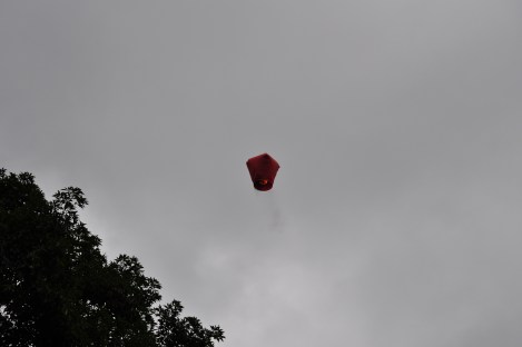 ..Up!.../pingxi, taiwan/jan 2013