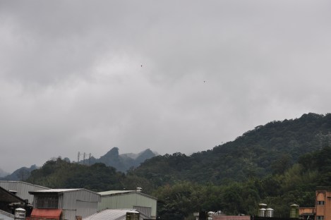 going, going, gone/pingxi, taiwan/jan 2013