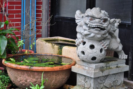 love the stone dragons/pingxi, taiwan/jan 2013