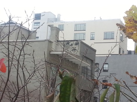 snapped from high line/nyc/dec 2012