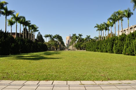 lawn in front of library/taida/dec 2012