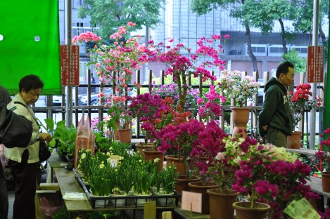 so many pinks + purples/da'an, taipei/jan 2013