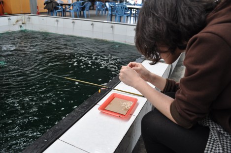 loading the hooks/danshui district, taipei/feb 13, 2013