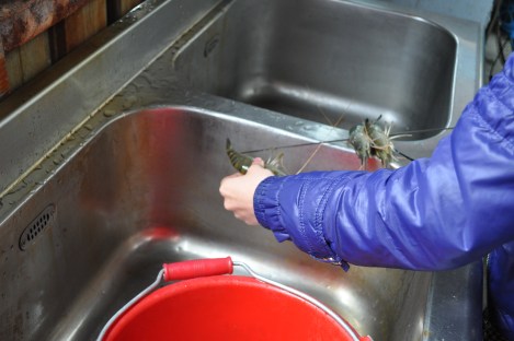 danshui district, taipei/feb 13, 2013