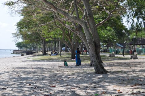 beach en route to pulau ubin/singapore/march 2013