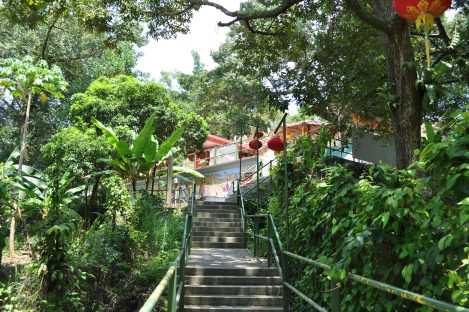 jungle temple/pulau ubin, singapore/march 2013
