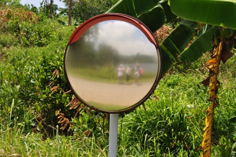 the ladies checking out the lake view/pulau ubin, singapore/march 2013