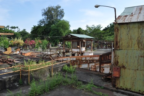 huashan_gaoxiong_2910