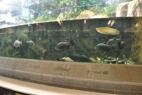 barbie taizhong_2991