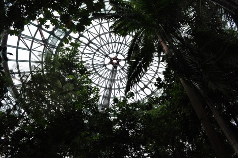 barbie taizhong_2996