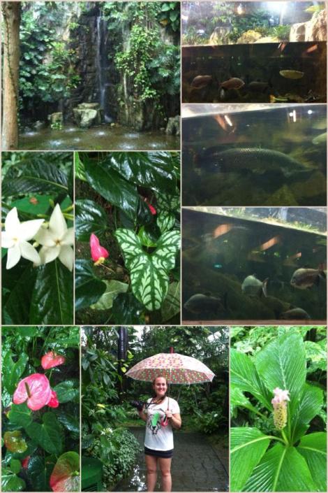 lisa botanical garden