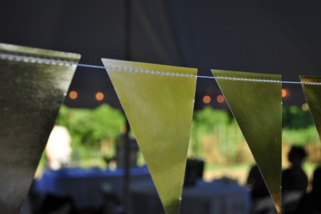 2015 angela wedding (34)