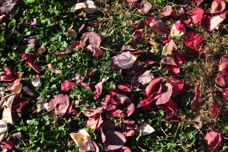 2015 angela wedding (43)